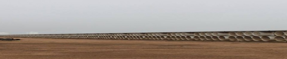 恒溫牛舍——中國大型規模牧場發展方向