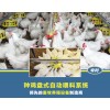 種雞盤式自動喂料系統
