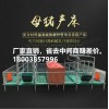 供應鴻牧騰母豬產床，定位欄，保育床等多種畜牧養殖設備